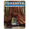 Yosemite Mariposa Grove Car Tree